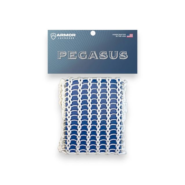 Pegasus Mesh